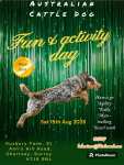 ACD Funday poster